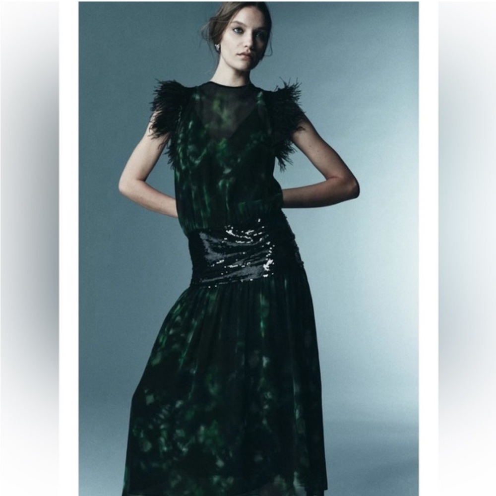 Zara Limited Combination Printed Maxi Dress Green Feather Sequin Evening Med NWT - Picture 1 of 17
